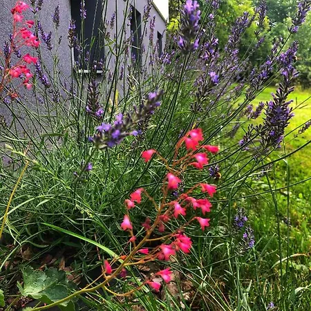 דירה Pozlovice - Sisi לוהקוביק