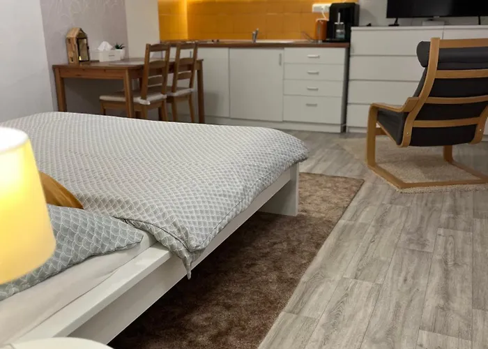 Pozlovice - Sisi Appartement *